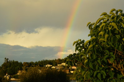 Rainbow over Coupeville