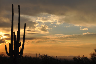 Blue Sky at Sunset_Tucson