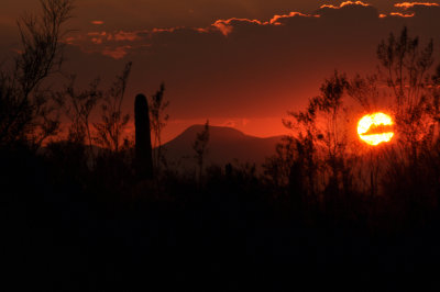 Hot Sunset_Tucson