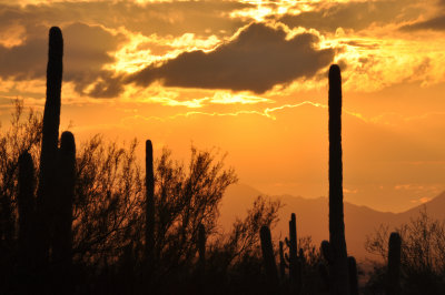 Sunset Streak2_Tucson