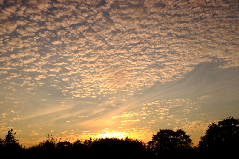 Bubbles  and  wisps  of  cloud , in  a  sunset.