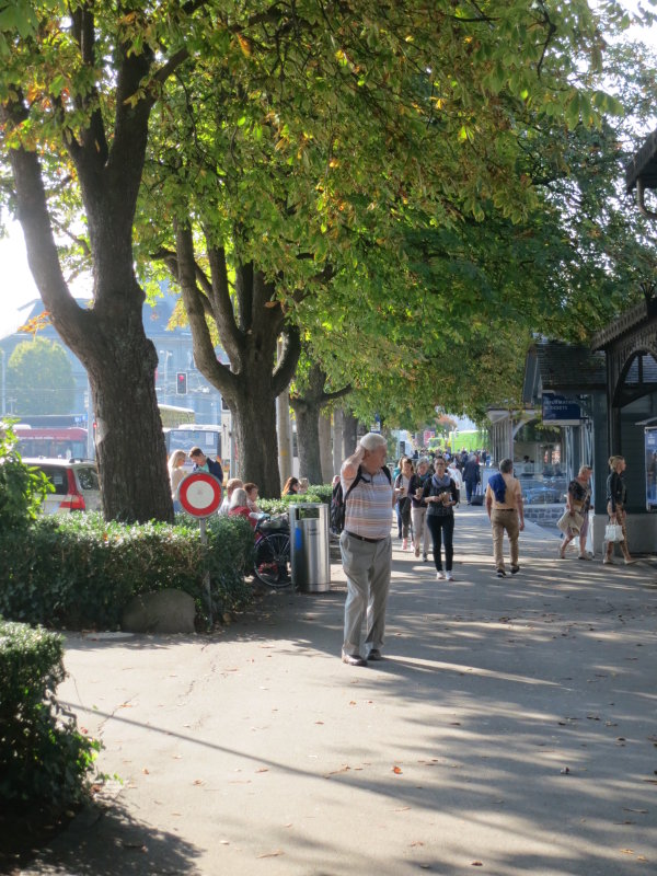 Tourists  in  the  shade , of  the  pierside  trees .