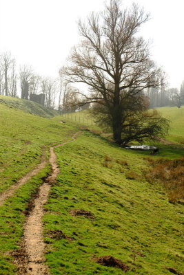 1066 LDP runs around  the  tree  in  shot,and  then  heads  up  to  Wickham  Manor.