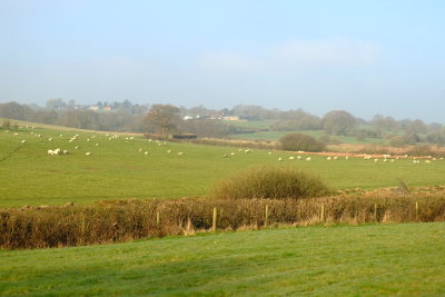 Lower  Lidham  Farm from the 1066 LDP