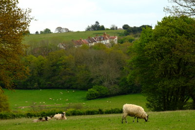 Doleham  Station  cottages  from  Pattleton  farm  fields.