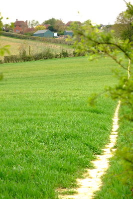 Footpath  leading  to  and  past  Pattleton's  Farmhouse .
