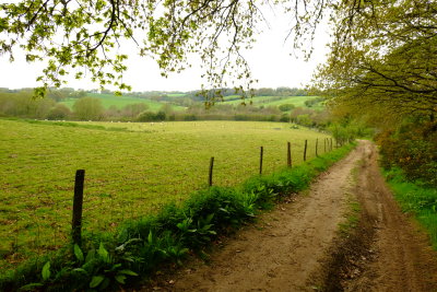 An  innominate  lane  across  the  Forge  stream  valley.