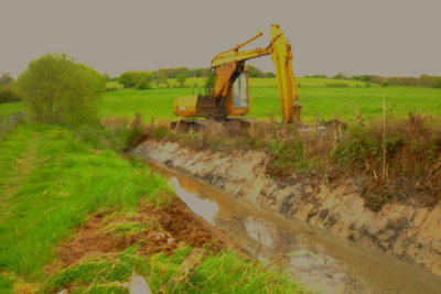 Cleaning  out  an  overgrown  ditch.