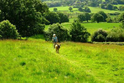 Two  ageing  walkers  climb  the  brae .