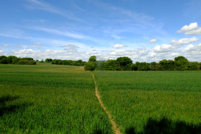 Looking  up  the  Rother  Valley from  the  footbridge.