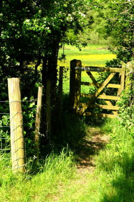 The  wicket  gate