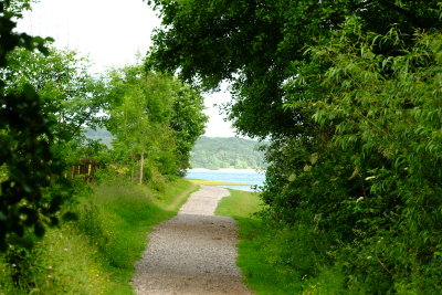 Round  the  lake  footpath.