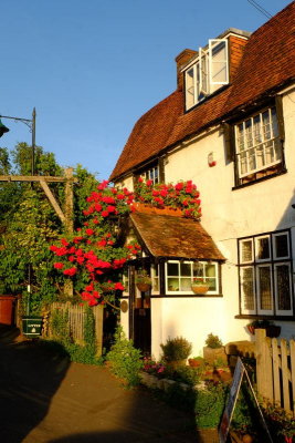 Red  roses  adorn  an  old  pub.