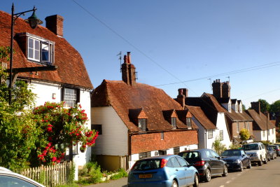 A  variety  of  cottages .