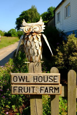 Owl House 