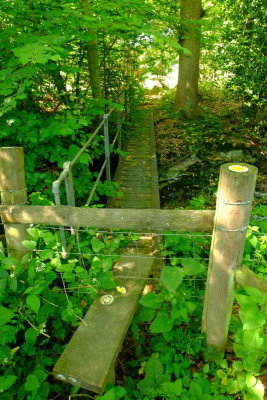 the  wooden  bridge  and stile .