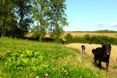 Max  and  Beth  alongside  the  silage .