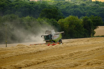 Combine  Harvester in action , raising  some  dust .
