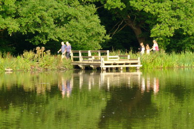 Locals  out  for  a  morning  stroll .