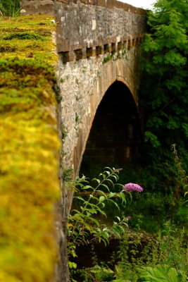 Wamphrey  Glen  bridge