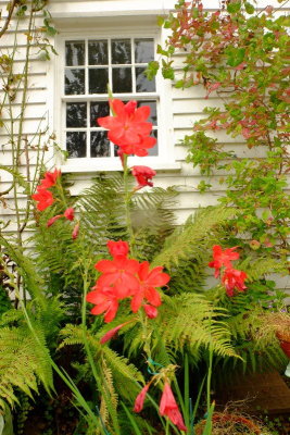 Beautiful  displays  on  the  raised  walkway.