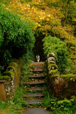 The  Eden  valley and other beauty spots in Cumbria.