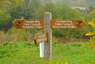 Teesdale  Way  signpost , by  Cotherstone .