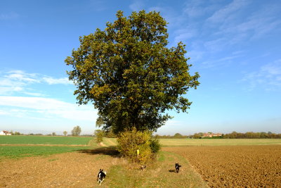 The  route  twixt  Woodend  and  Abbess  Roding .