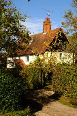 A  beautiful  cottage .