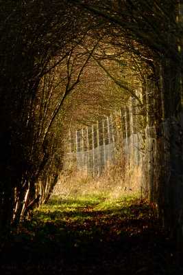 The path hereabouts , runs alongside the boundary fence
