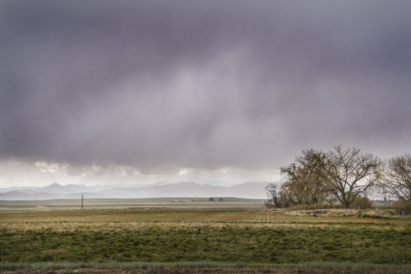 Loveland_1465.jpg