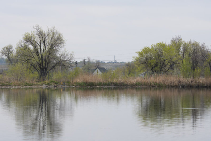 Loveland_1231.jpg