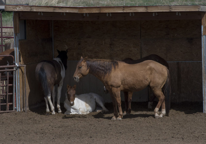 Loveland_0975.jpg