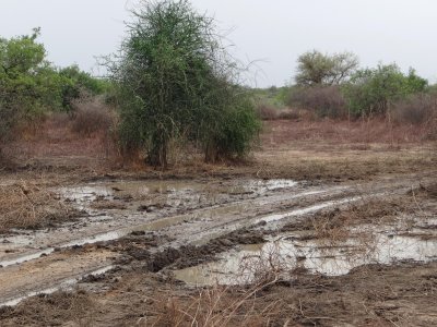 Our road after an unexpected downpour