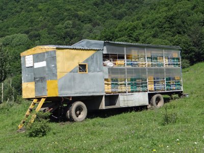 These are bee hives!  We saw many of them and ate raw honey often.