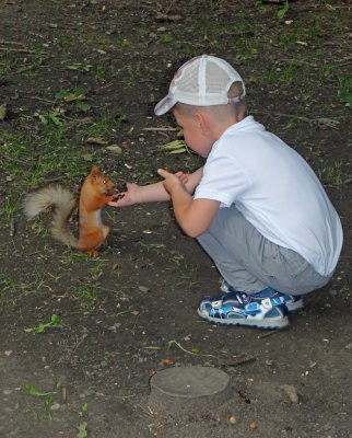 Young boy feeding a squirrel