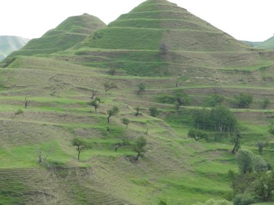 Terraced hillside