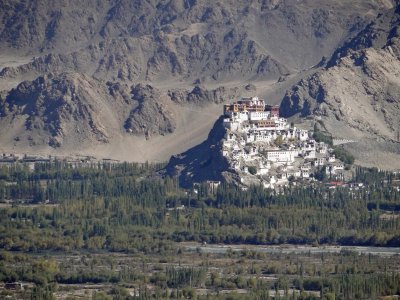 Thiksey Monastery; often monasteries are on top of something, or on the side of cliffs.