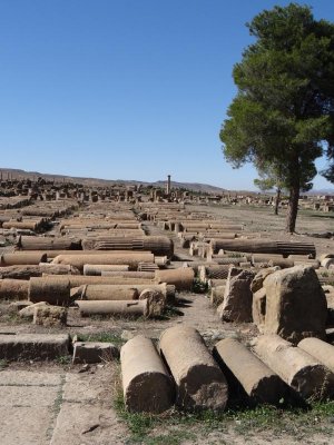 Pieces of columns at the Roman site of Timgad