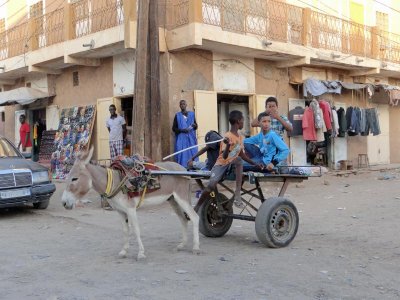 Donkey carts are everywhere