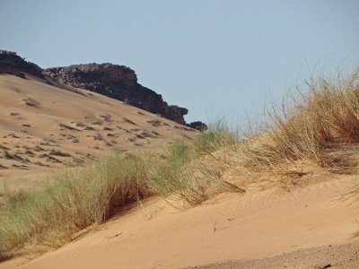 Occasional grass on the dunes