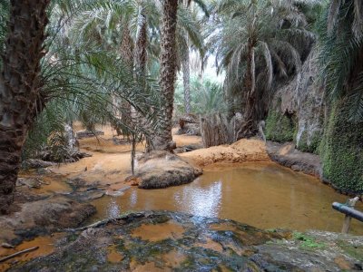 The headwaters of the oasis