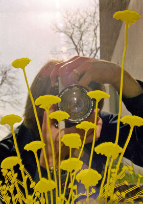 YELLOW_FLOWER_MIRROR_R.jpg