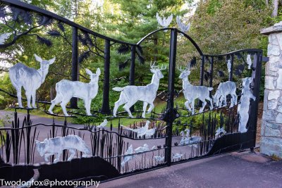 Entry Gate With All The Animals Seen Here