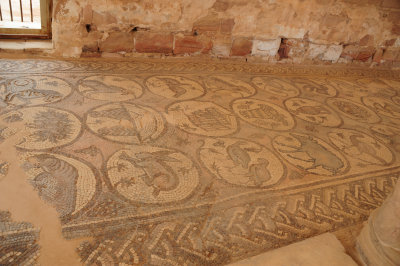 Floor mosaic of church.JPG
