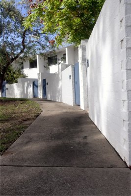 A3237.jpg