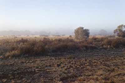 A3757.jpg