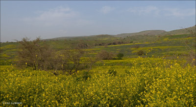 Golan slopes nature reserve, Israel