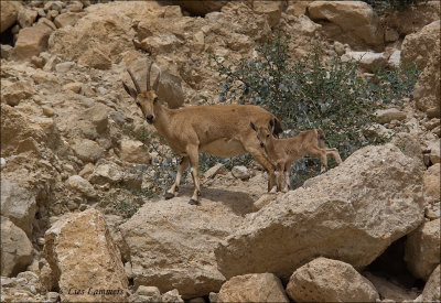 g10/65/938465/3/165324134.Fe4iRLeQ.jpg