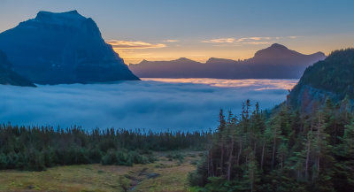 Morning Fog near Logan Pass